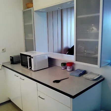 Apartment Ferienappartement Schwarzwalddorf Kniebis